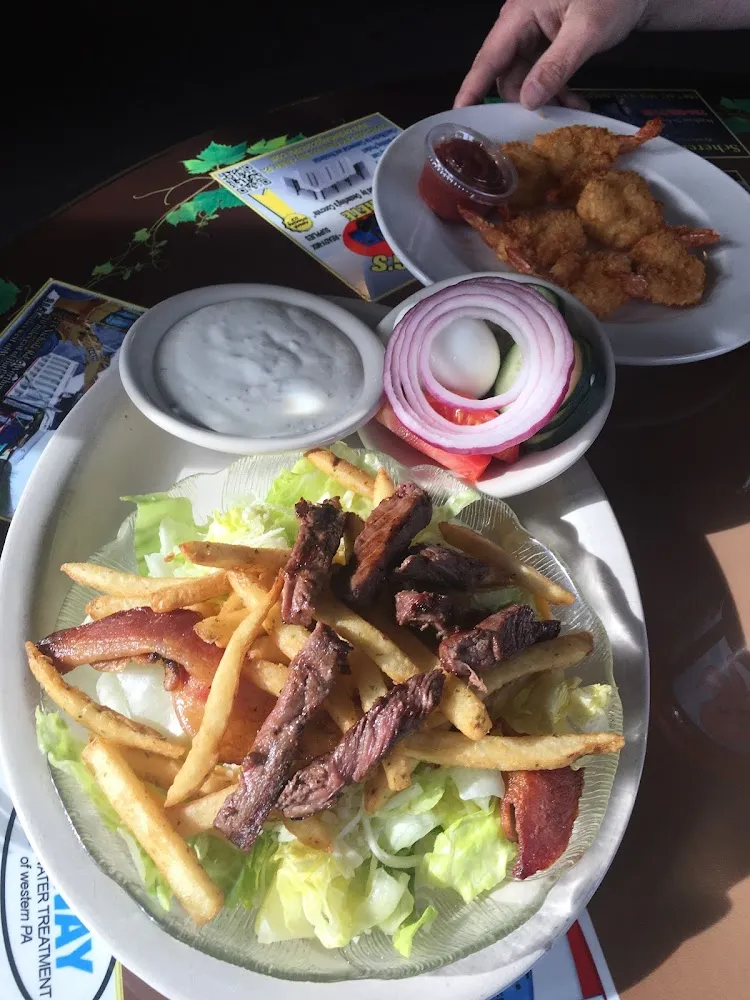 Steak Salad with Fries